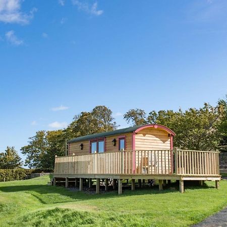 Foxglove Shepherd'S Hut Berwick Upon Tweed Kültér fotó