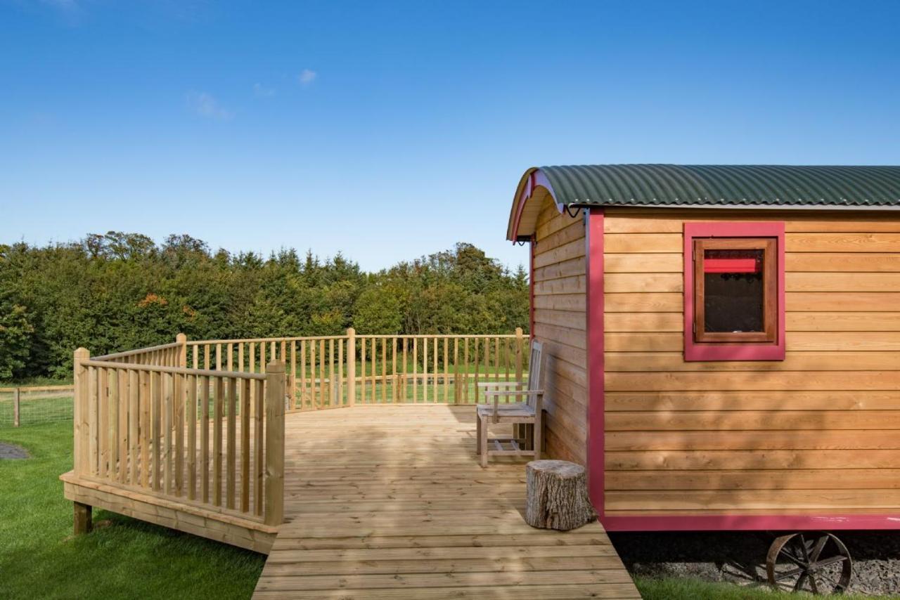 Foxglove Shepherd'S Hut Berwick Upon Tweed Kültér fotó